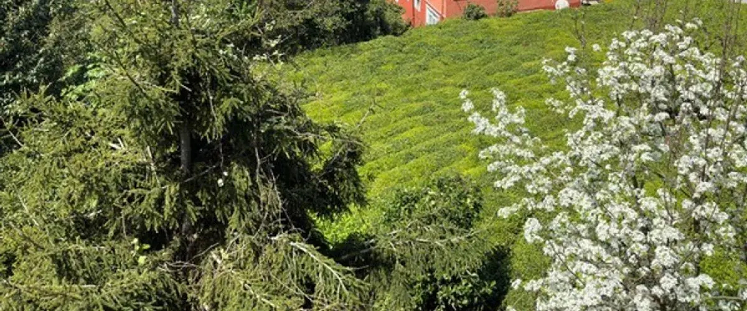 Bungaport Jakuzili Teraslı Lux Bungalov