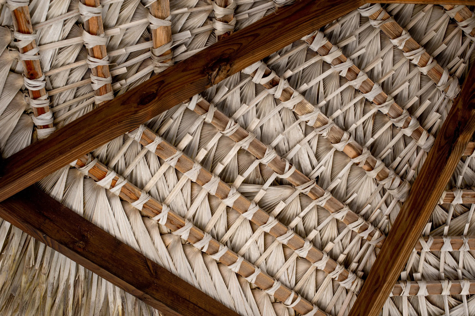 Le Soleil d'Or CaymanBrac