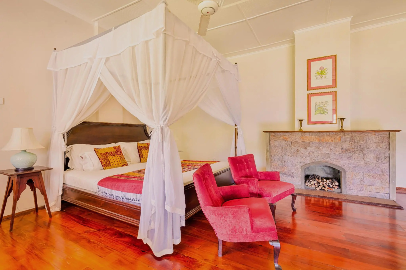 Dickoya by Zinc Journeys