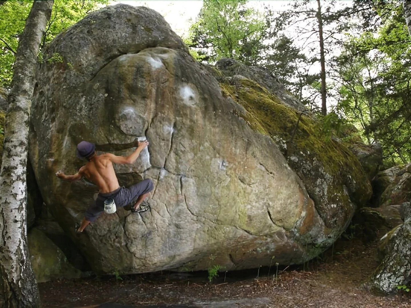 Studio - Sleep in Fontainebleau
