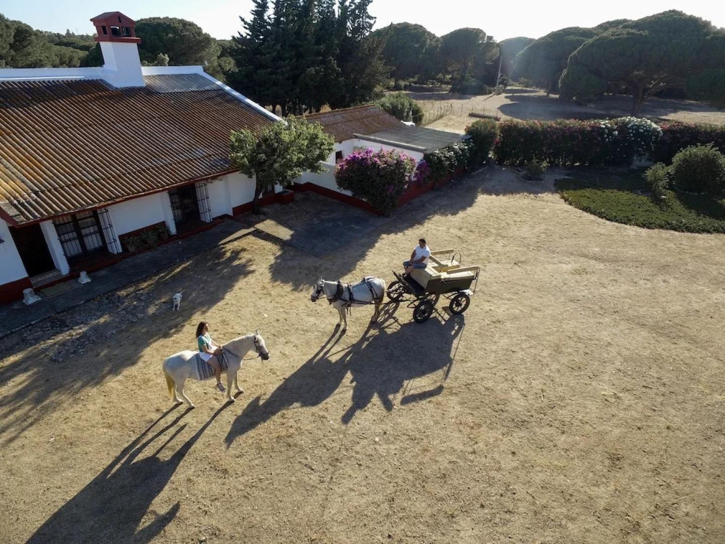 Casa de Campo Dehesa de las Yeguas