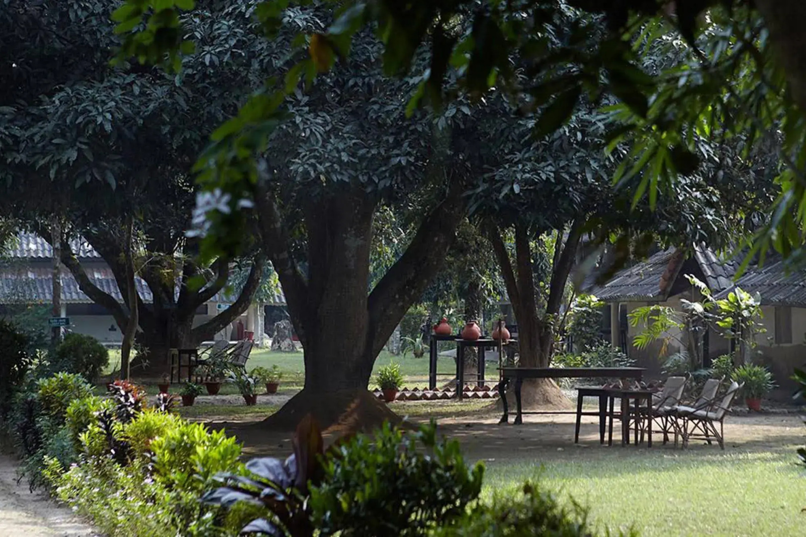 Tiger Tops Tharu Lodge