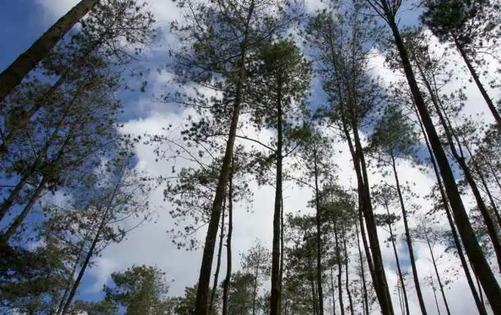 Villa Lembang Asri R3