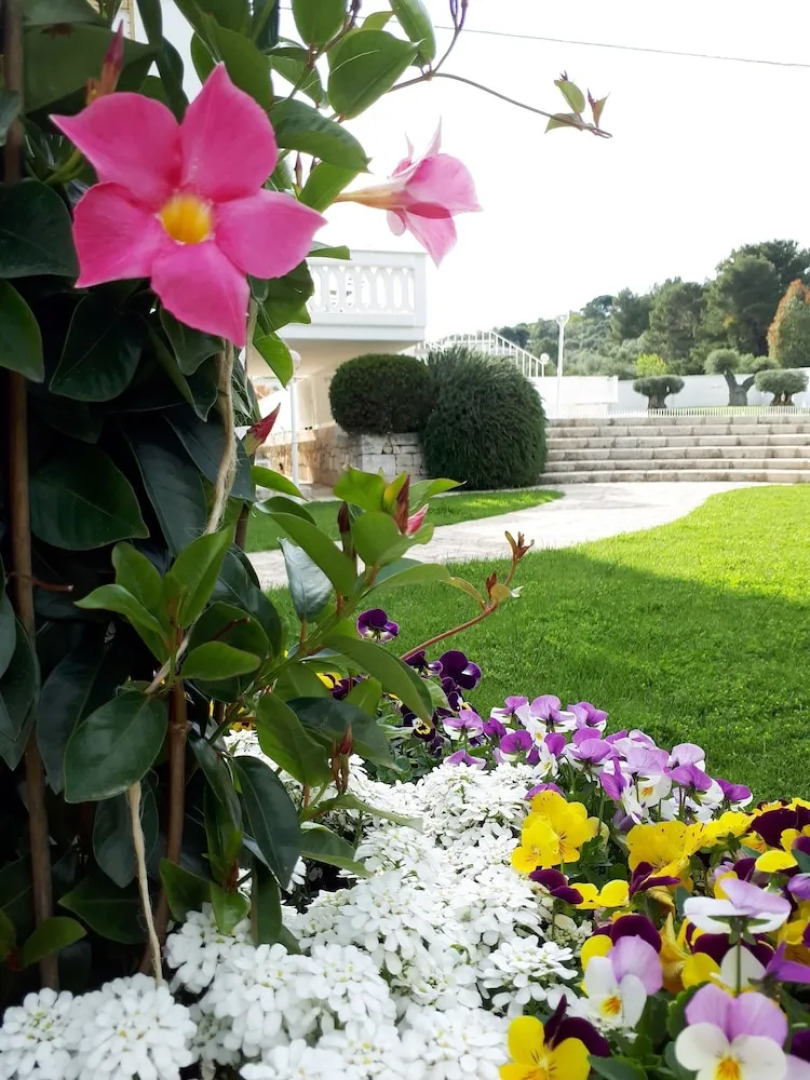 Hotel Villa Petruscio