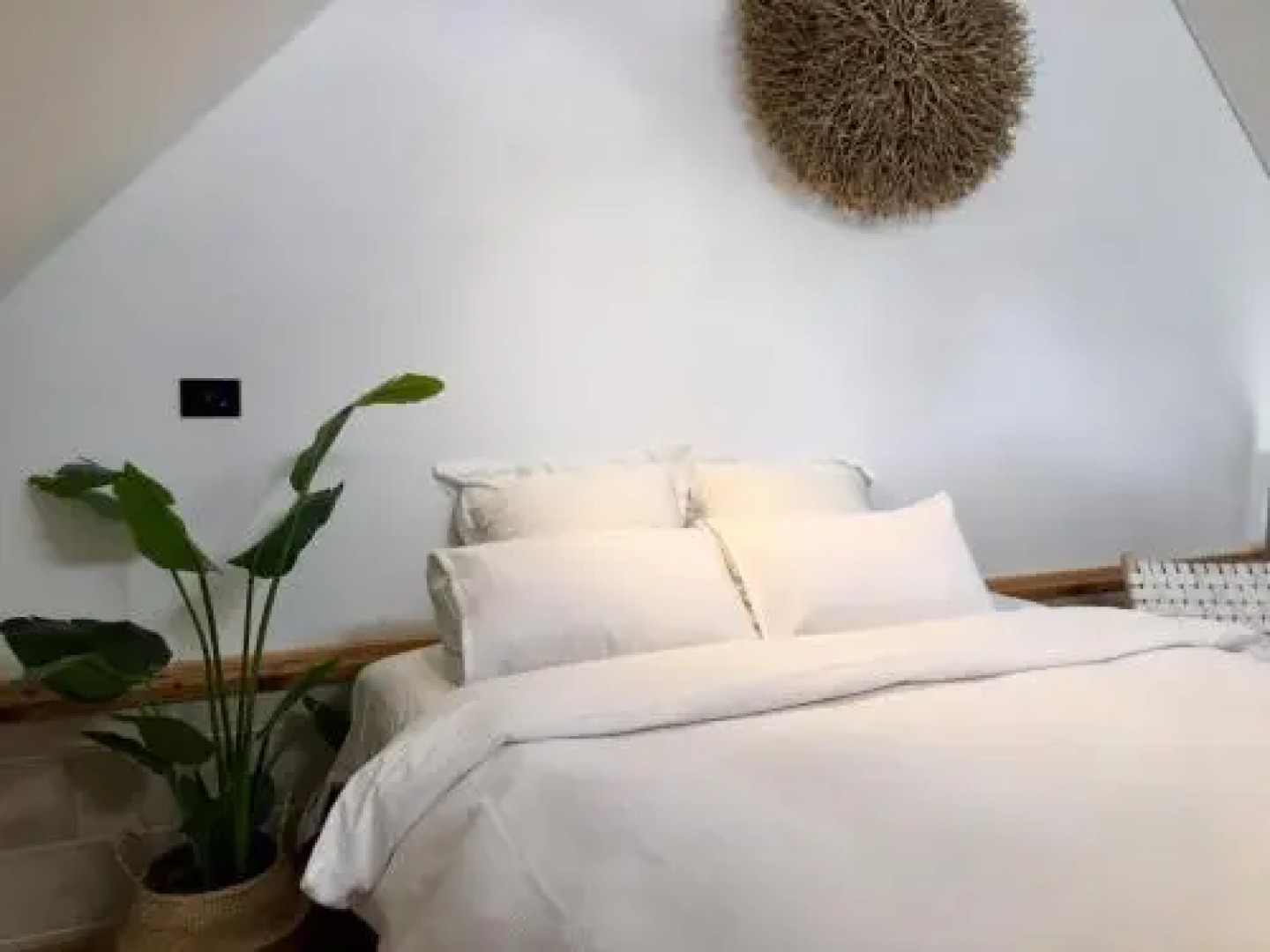 Pacific Terraces 2, 38 Pacific Street