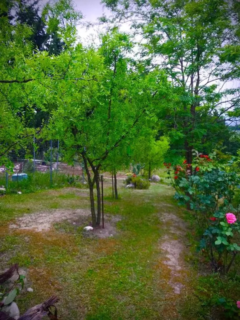 B&B Prato San Lorenzo