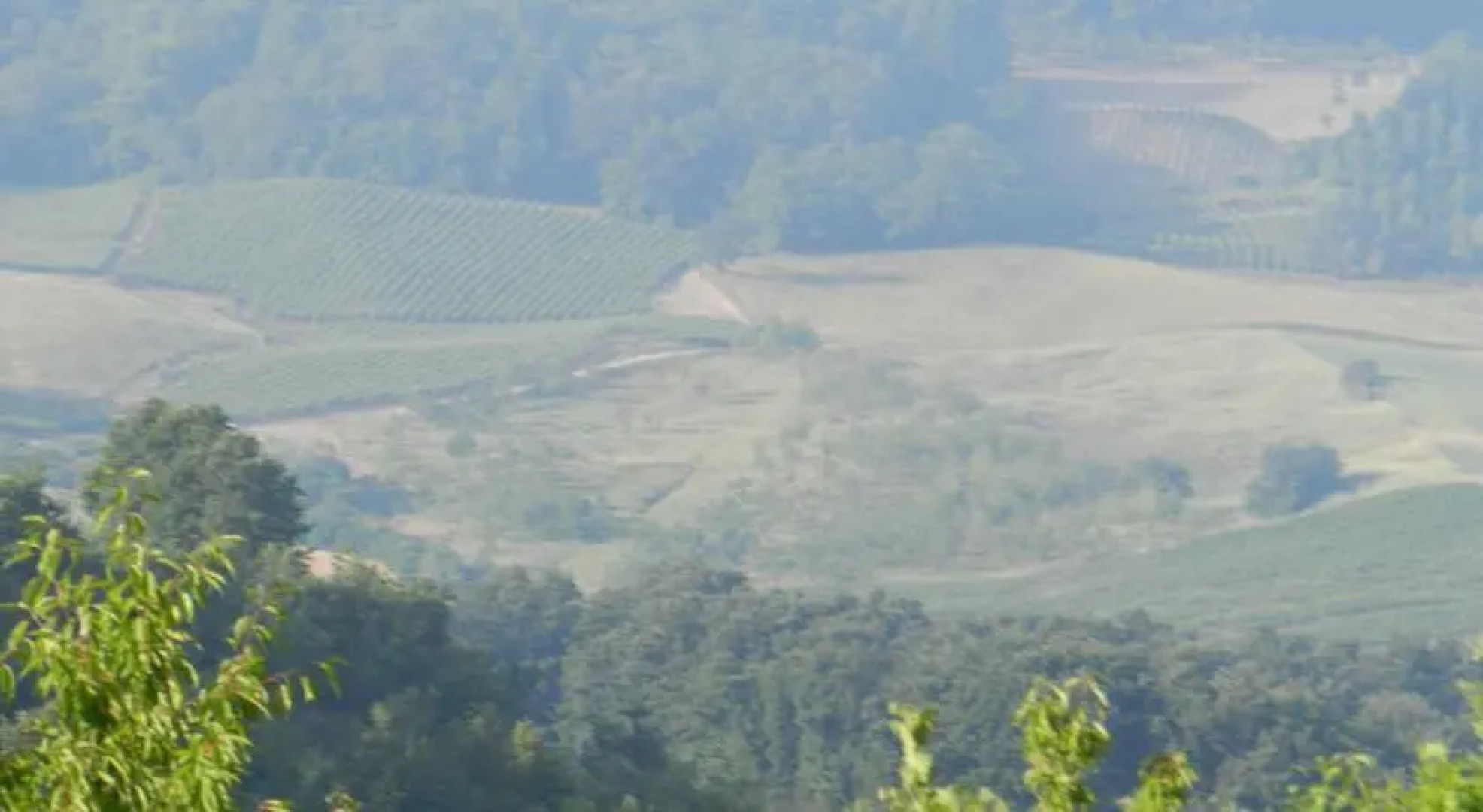 Casa del Bosco in Collina