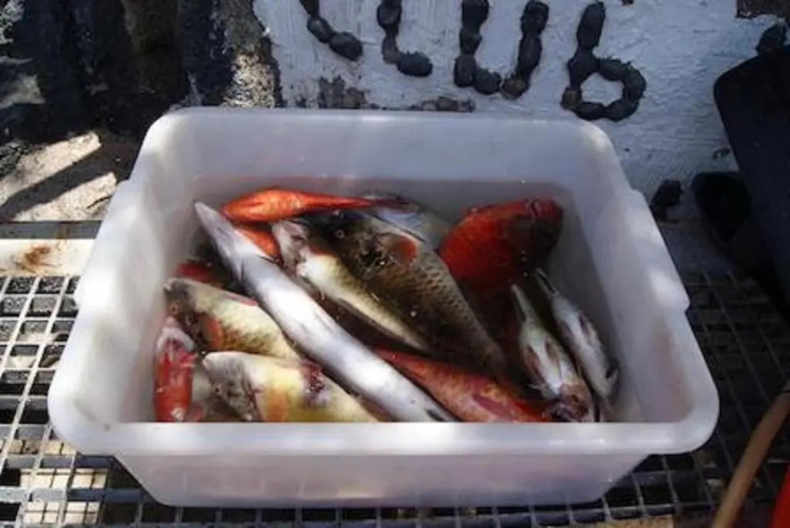 Apartamento704 Mesa del Mar