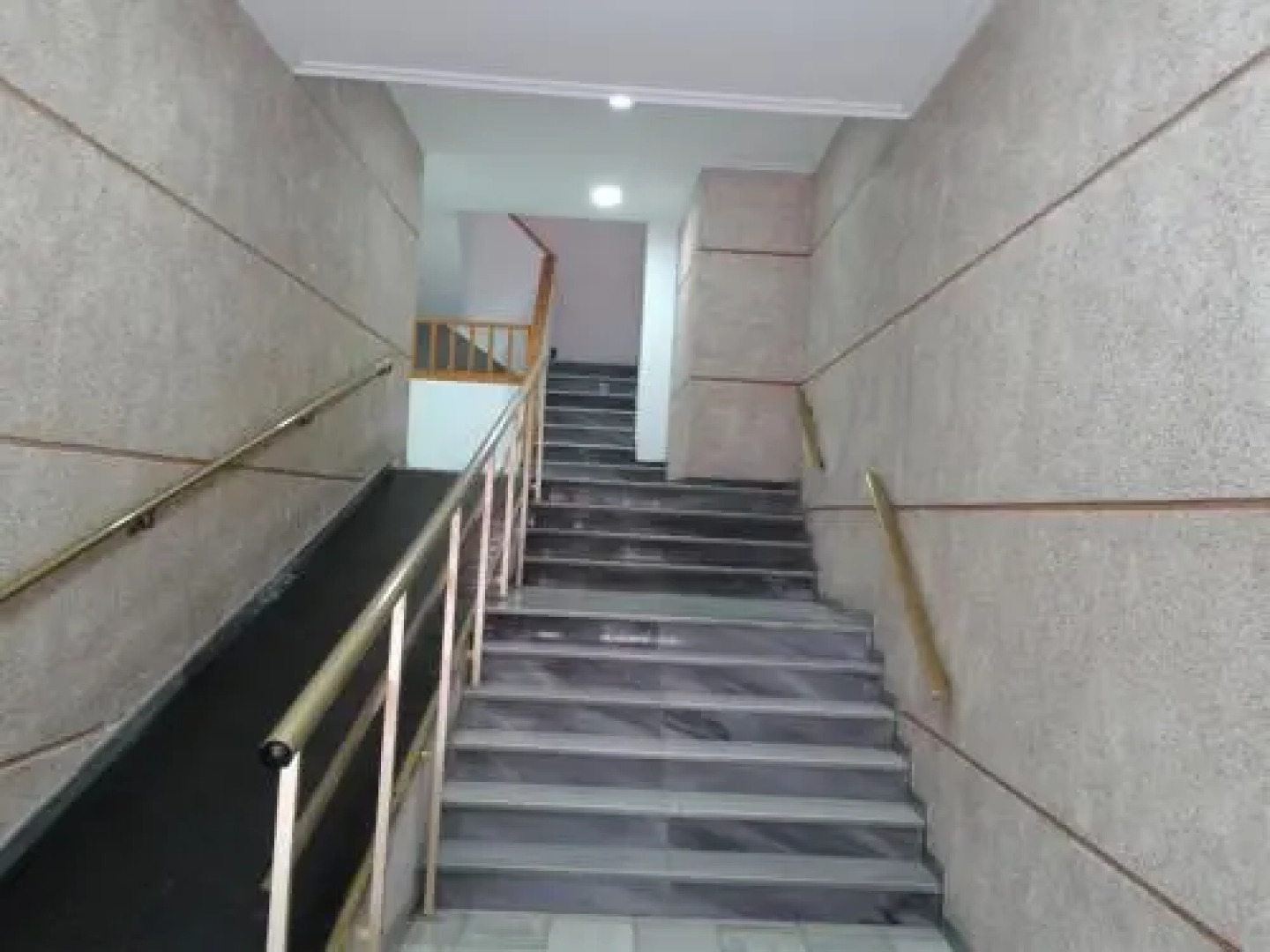 Estudio Marina de Santa Pola