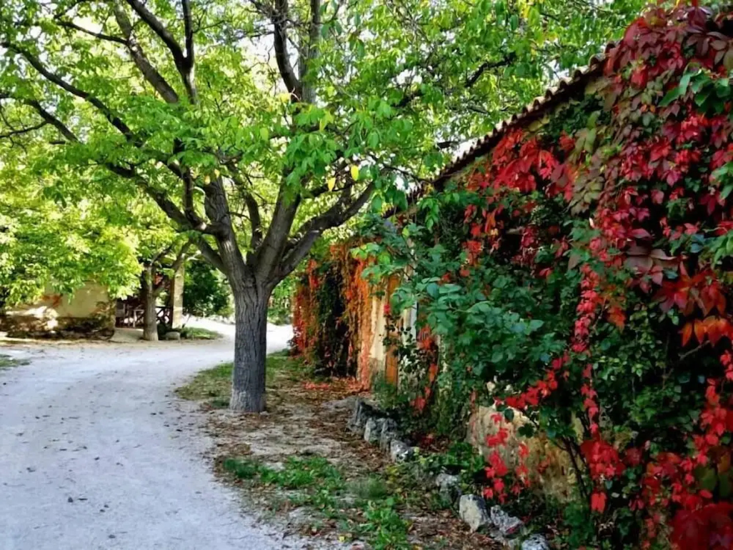 Casas Rurales los Enebros