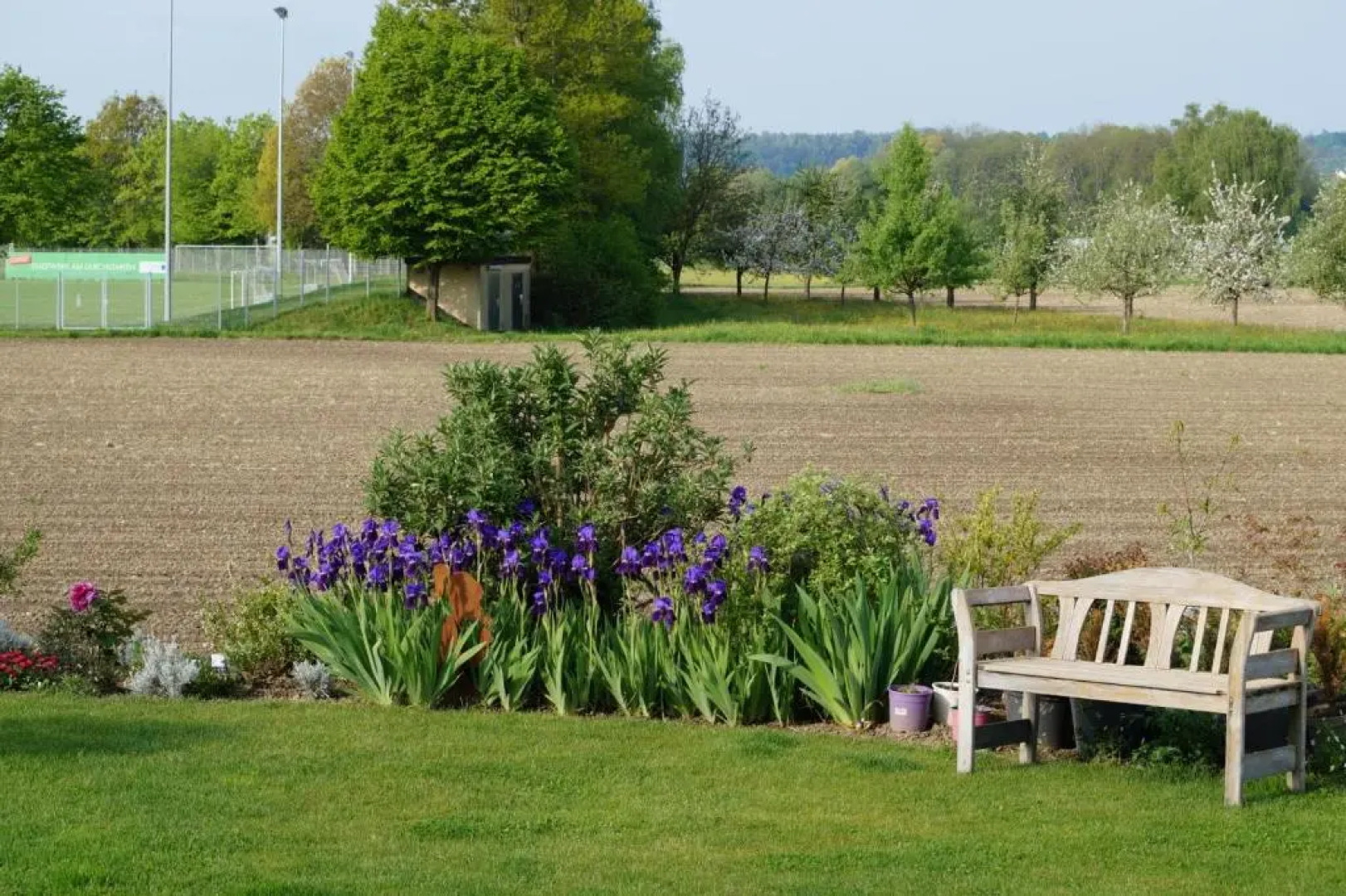 Apartment Strawberry
