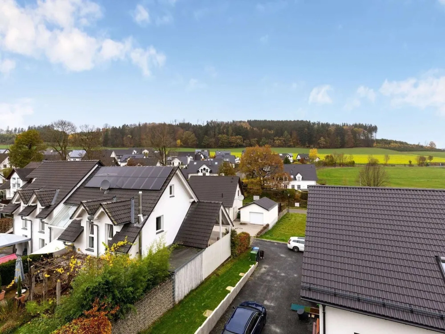 Apartment on the Edge of the Forest