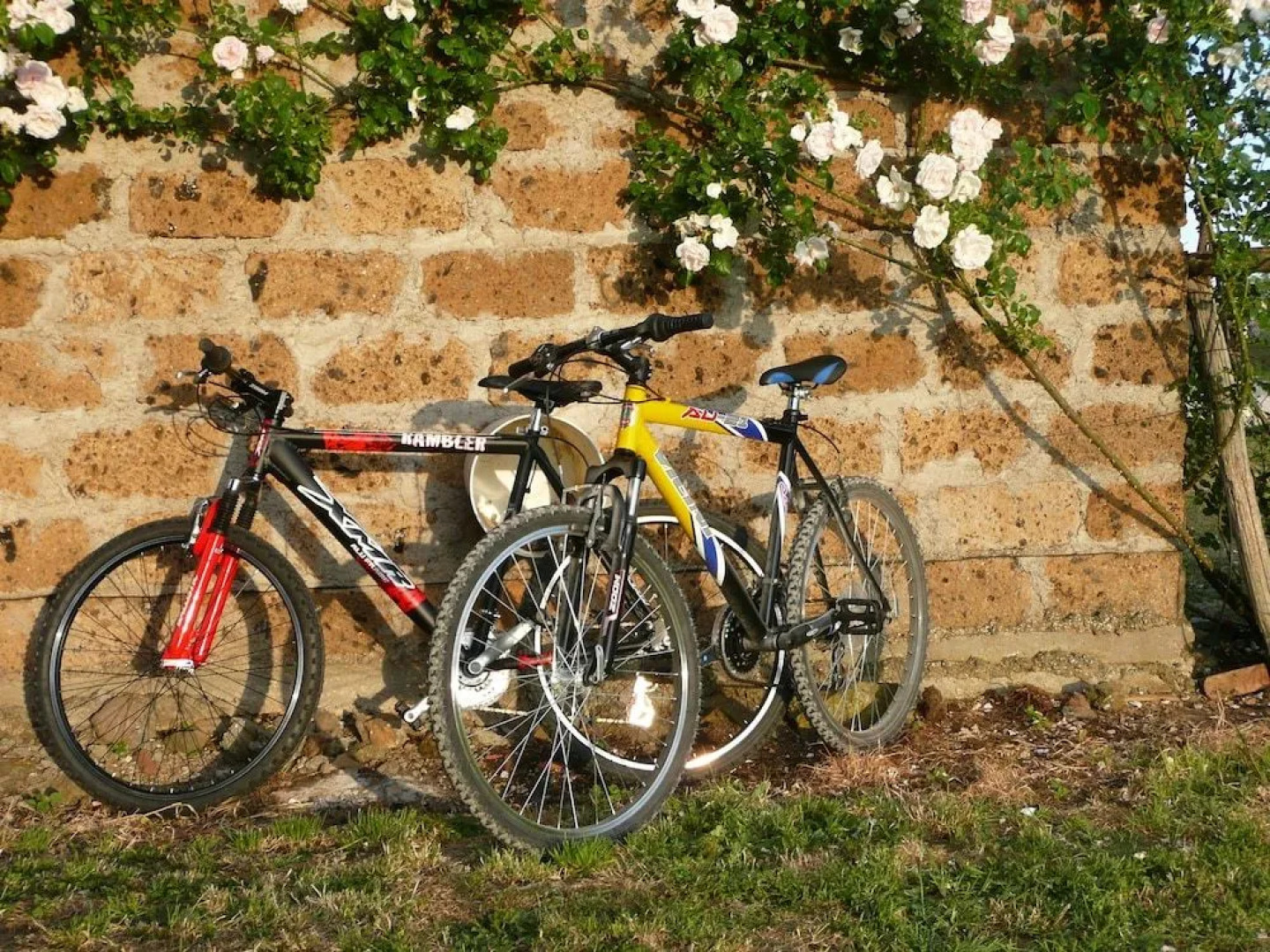 Casale dei Gelsi Bed & Breakfast