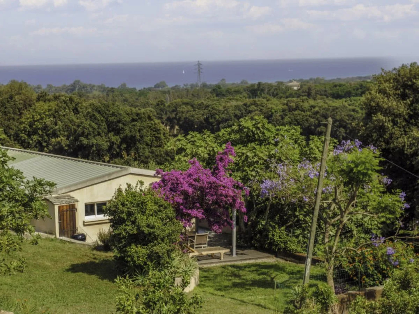 Rutili - Josee (CTN255)