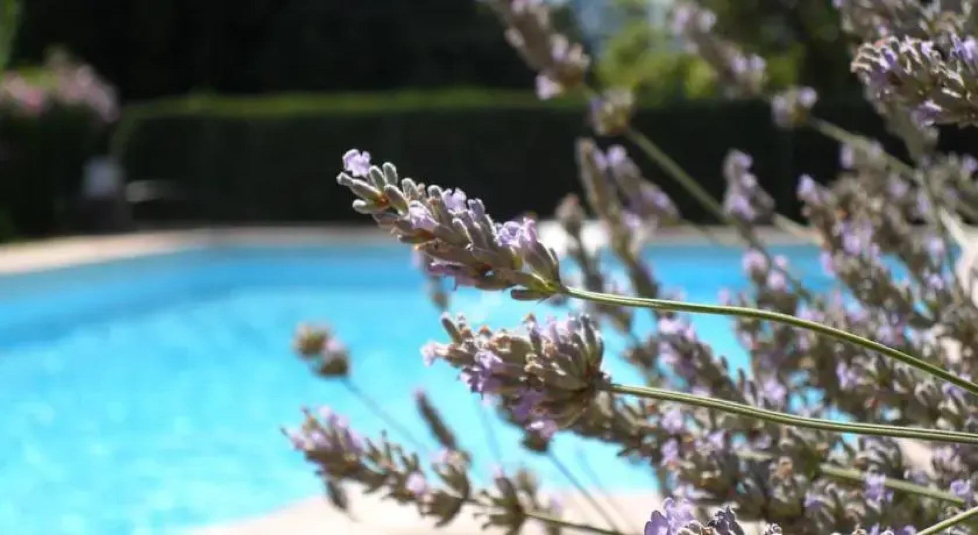 Chambres dhôtes Le Château de la Rebatière