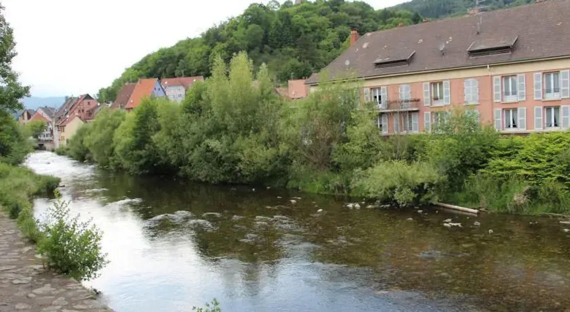 Studio Petit Rangen Alsace