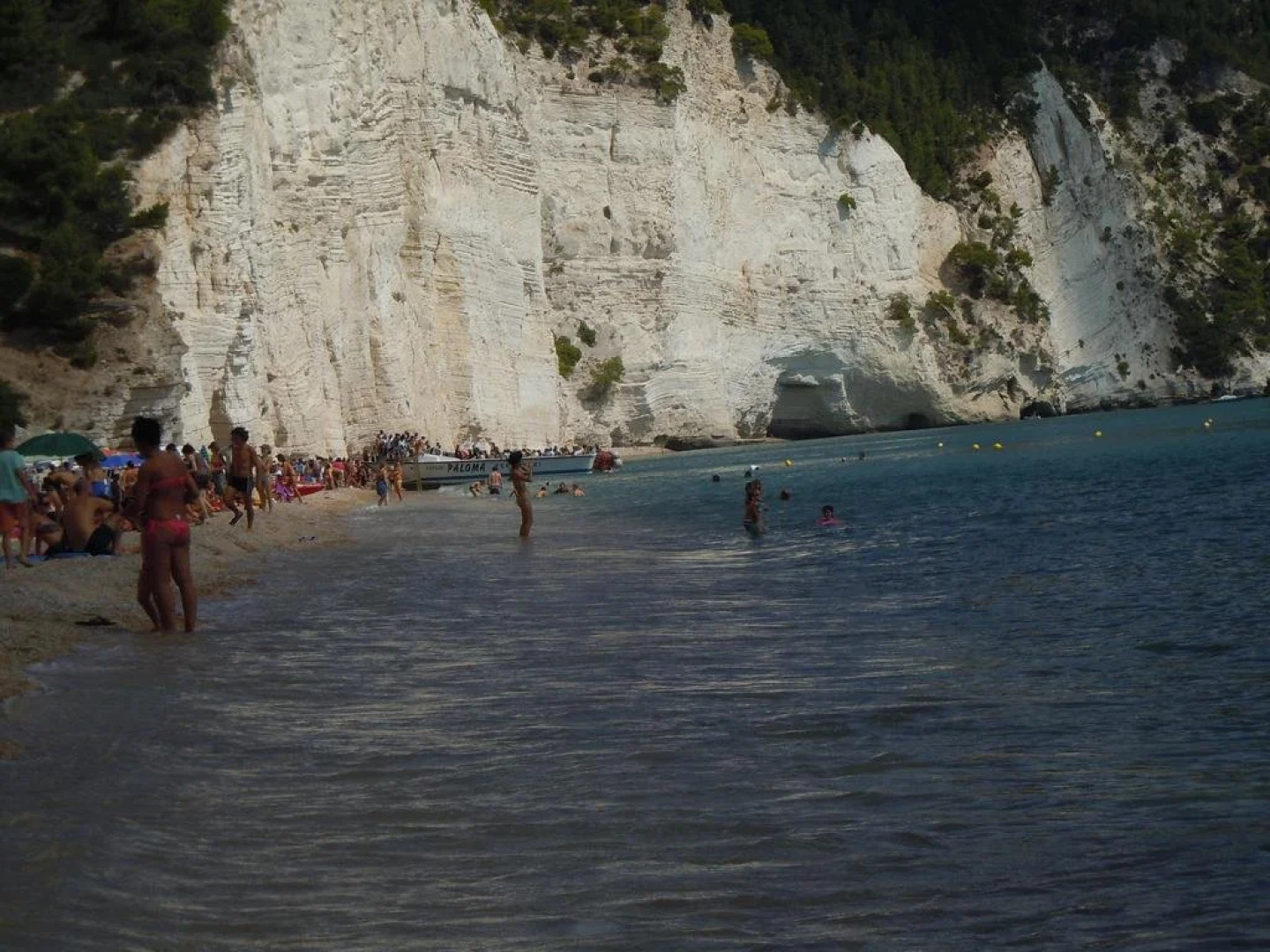 Pensione San Michele