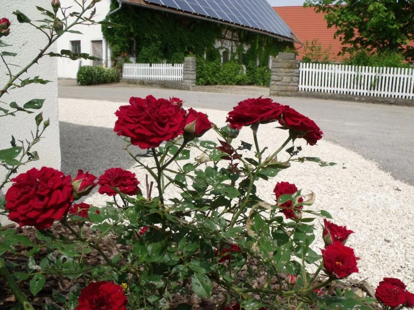 Hotel & Reiterhof Gut Weihersmühle