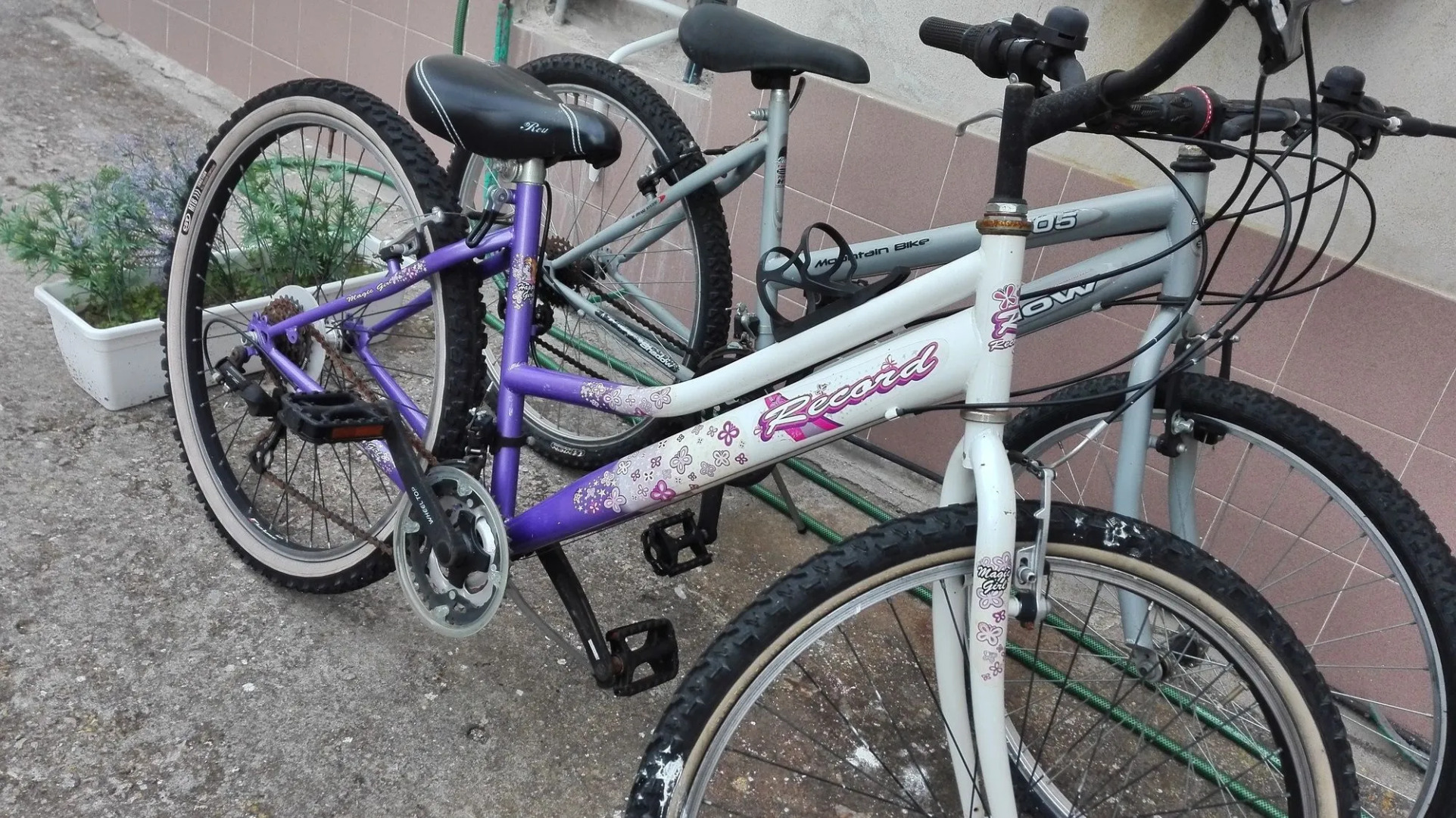 Camere Riviera di Ulisse