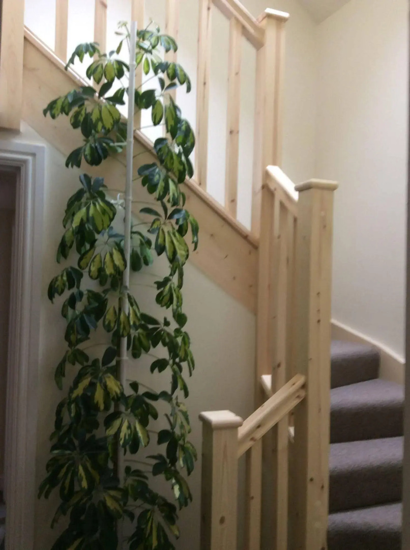 A Castle View Bed and Breakfast