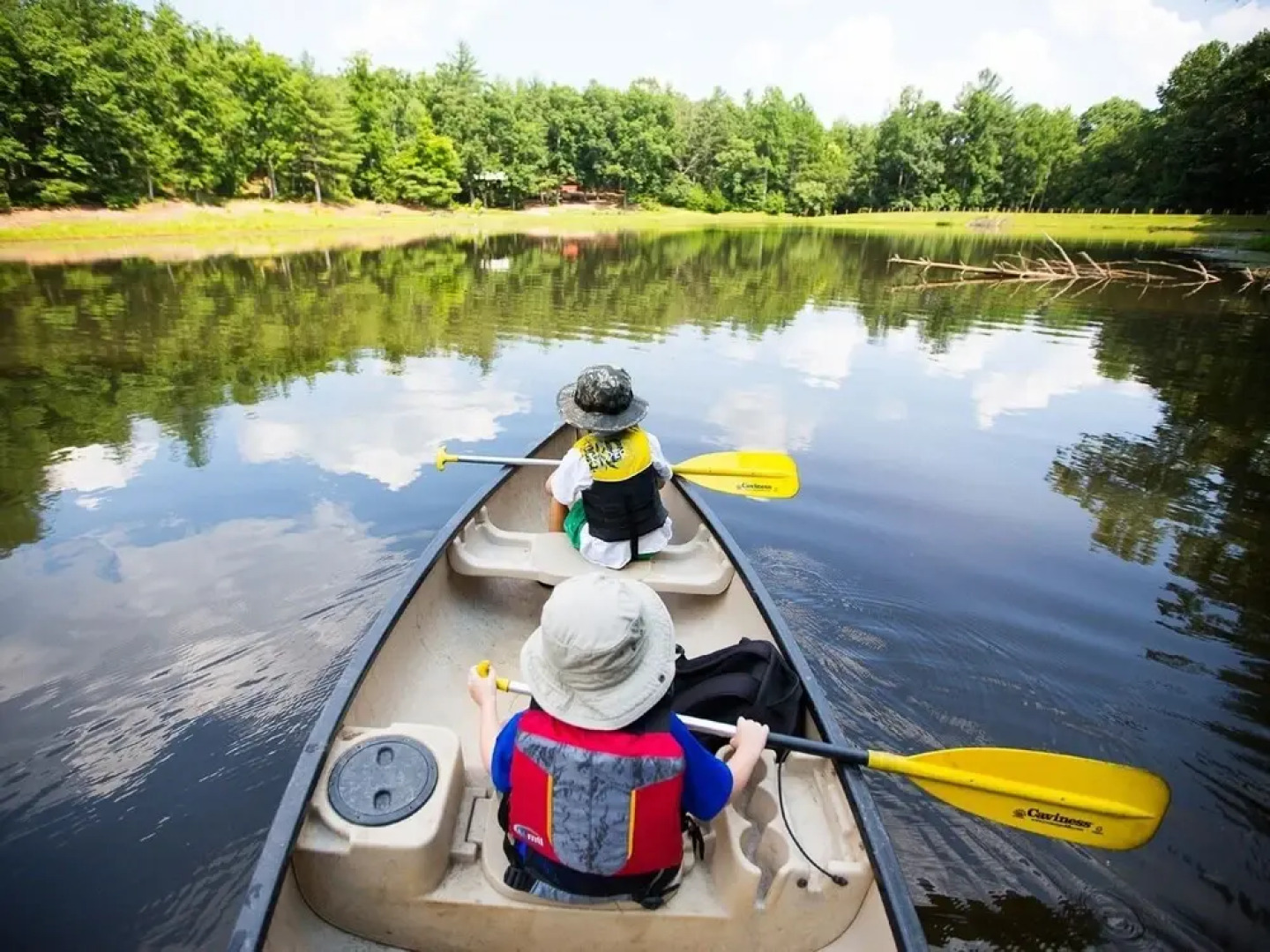 Montfair Resort Farm