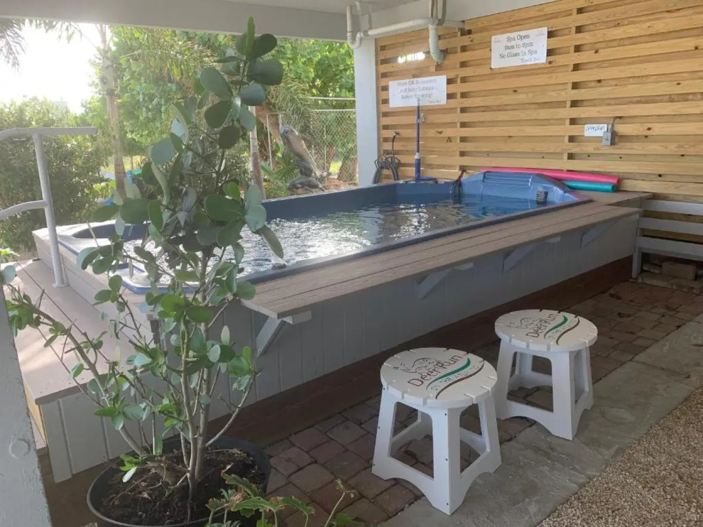 Deer Run on the Atlantic