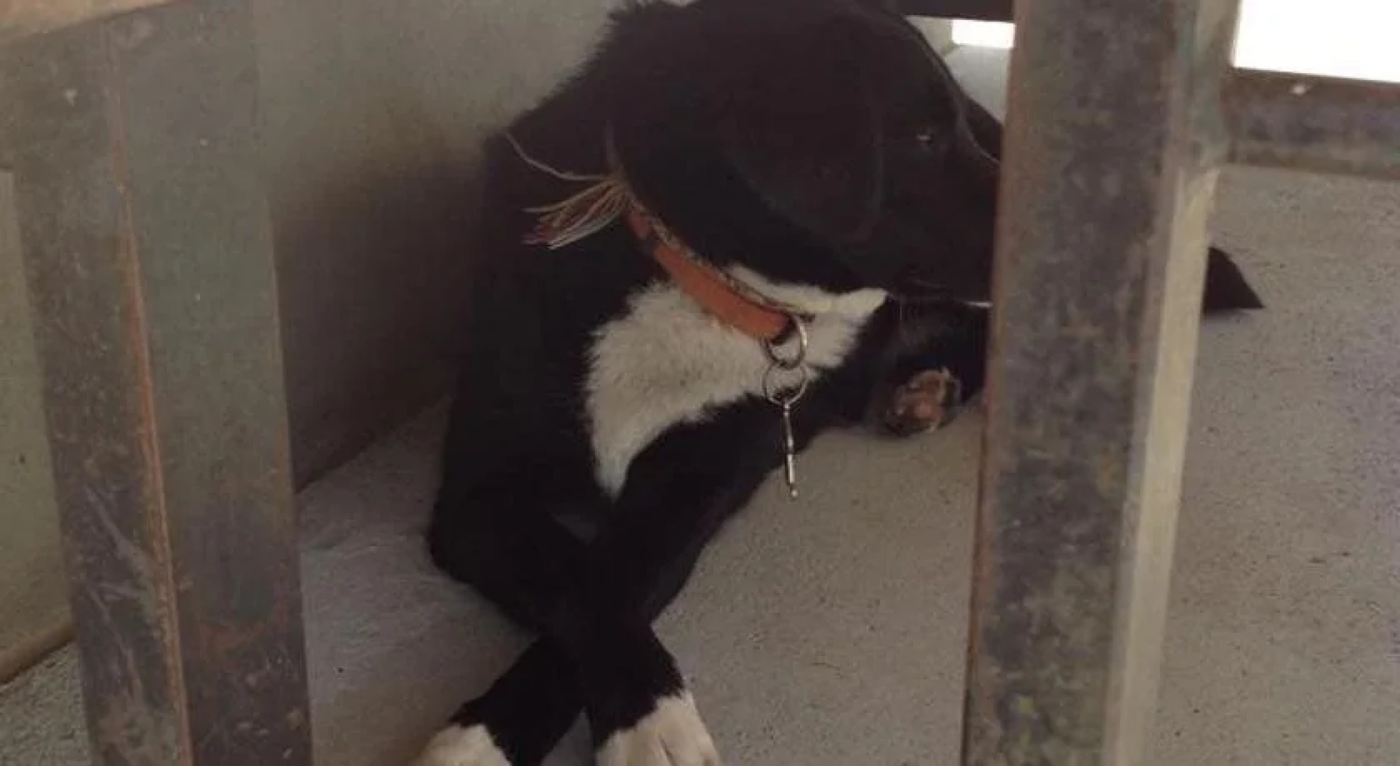 Panorama Hotel Wagenkehr