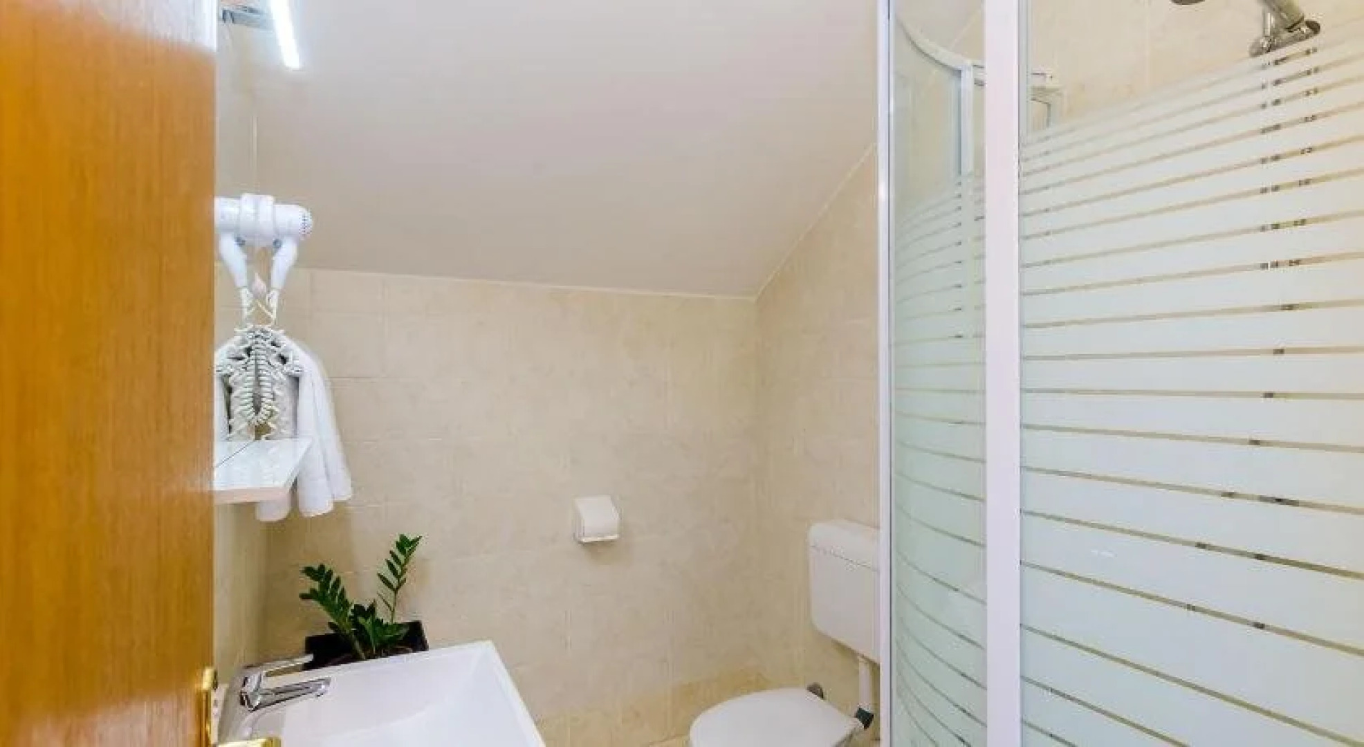 Pansion Costeria Srebreno