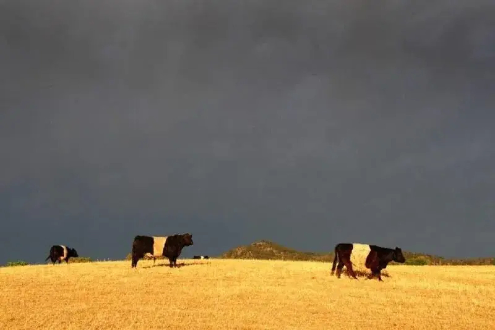 Peppertree Hill Luxury Farm Accommodation