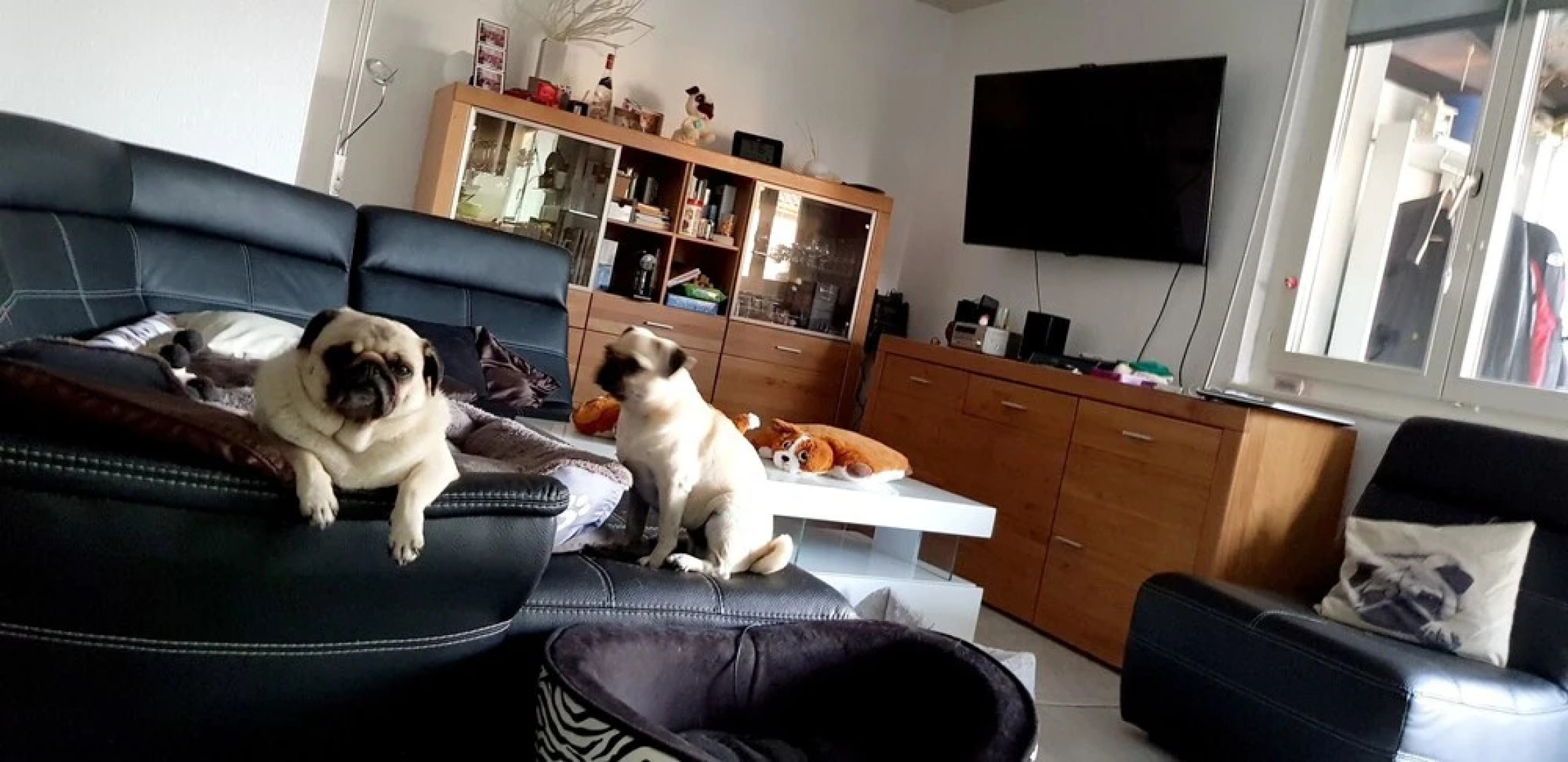 Apartment With 2 Bedrooms in Bevaix, With Wonderful Lake View, Pool Ac