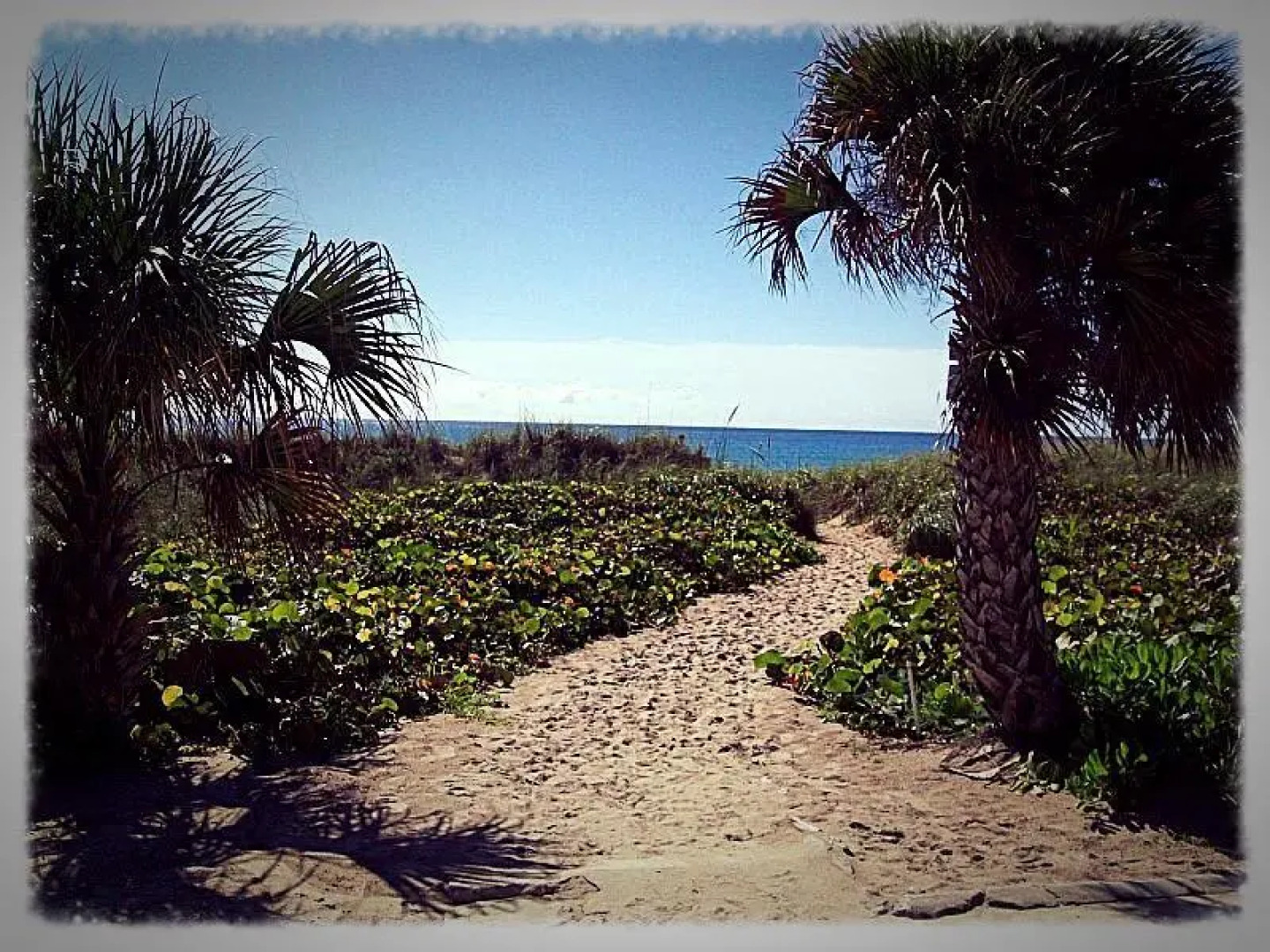 Berkshire by the Sea