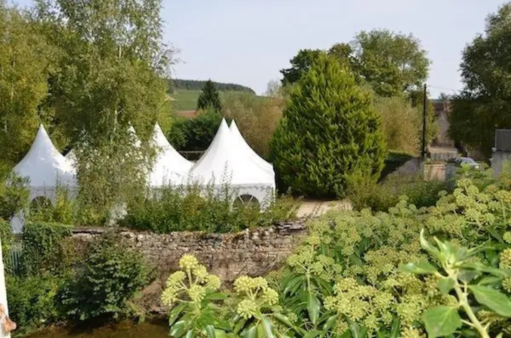 Bergerands Gite "Les Grenouilles" - Chablis