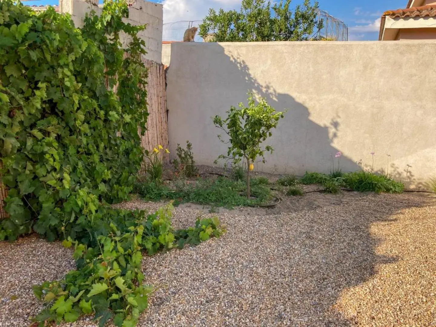 Beni benius - Typical restored house in Nurachi