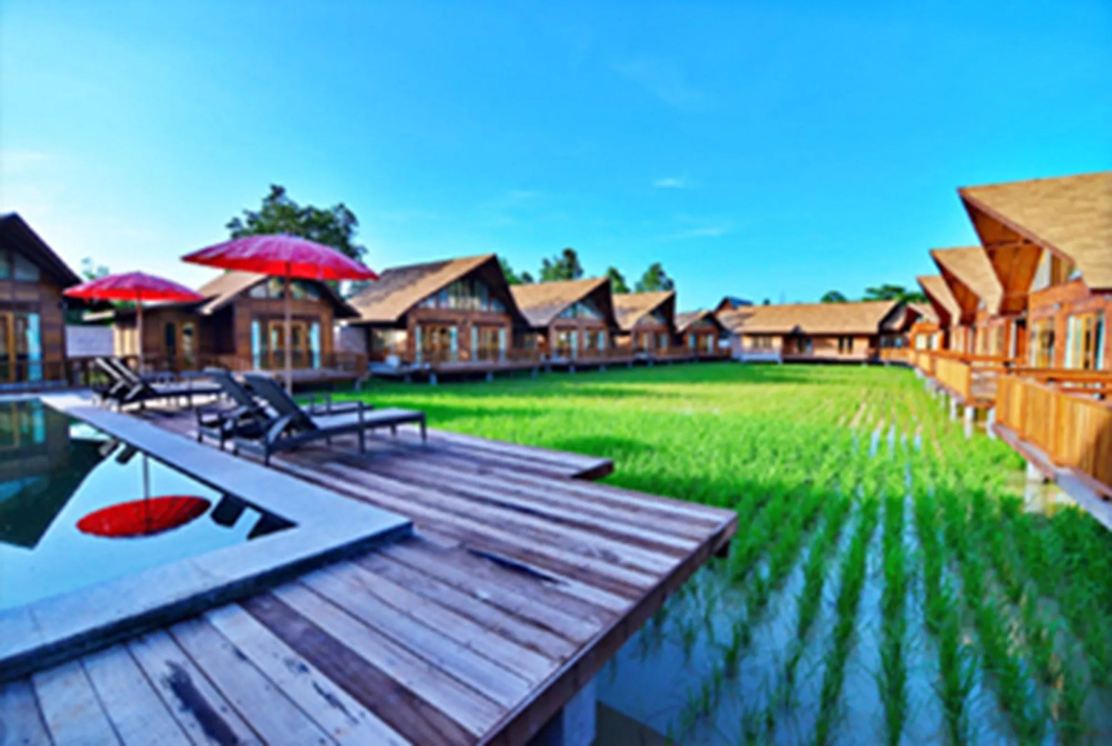 Rice Farm Villa