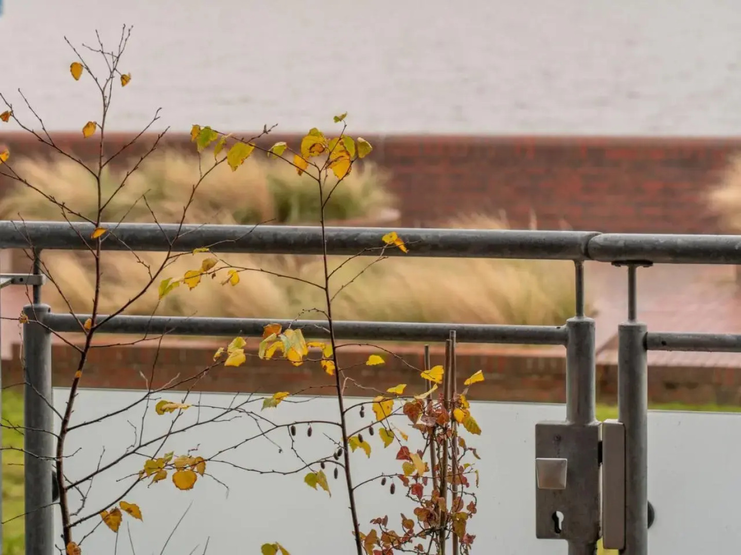 145 Meerblick Ferienwohnung