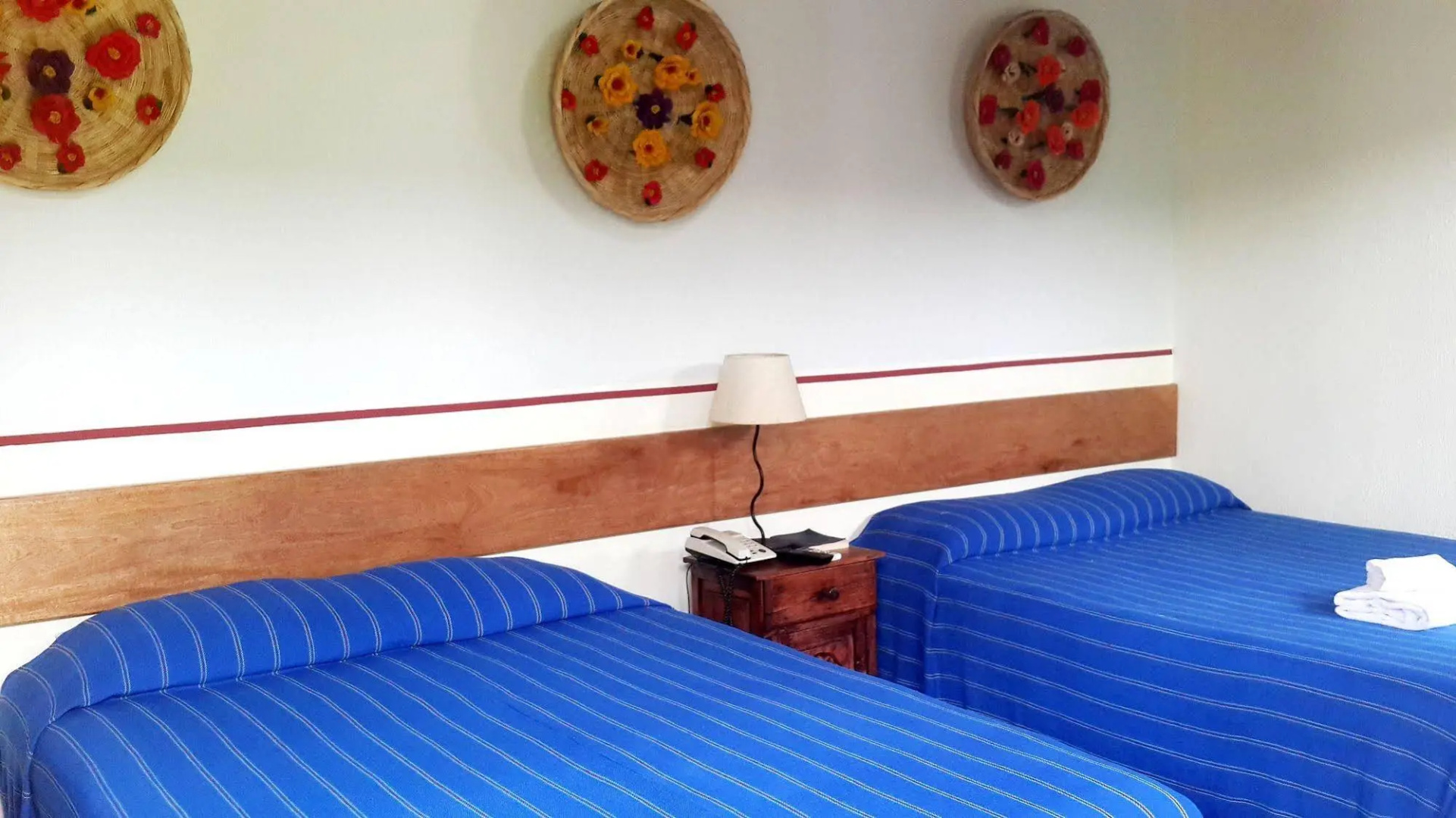 Árbol de Fuego Eco-hotel, a green experience in the city