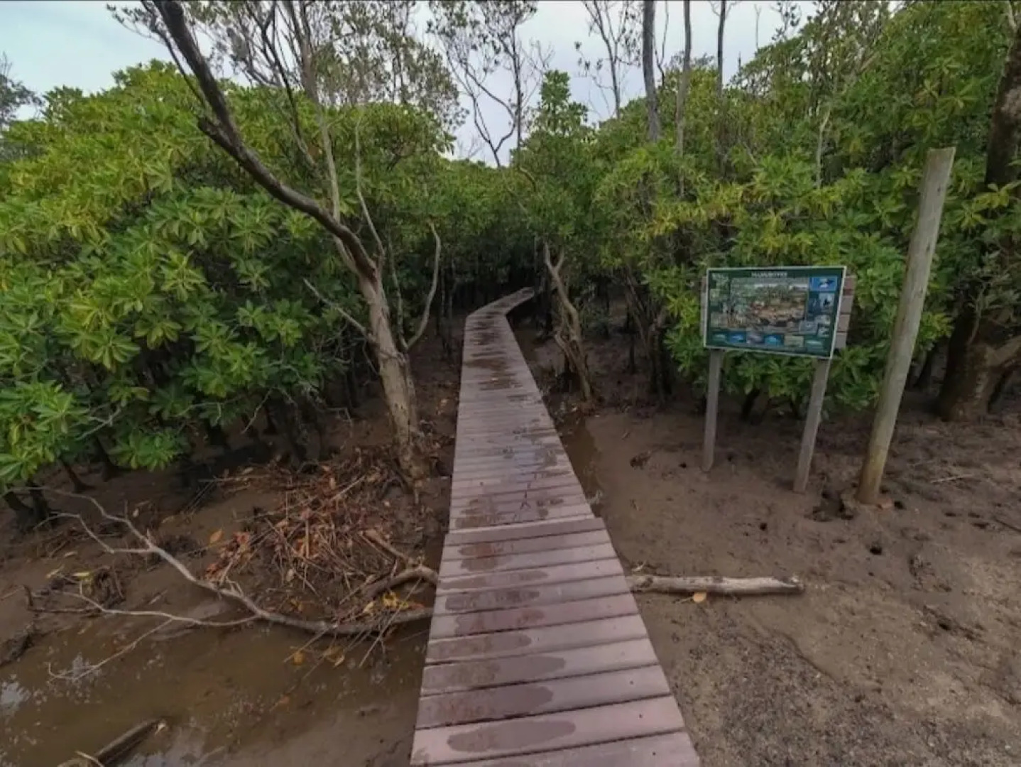 The Tropical Hut Lodges