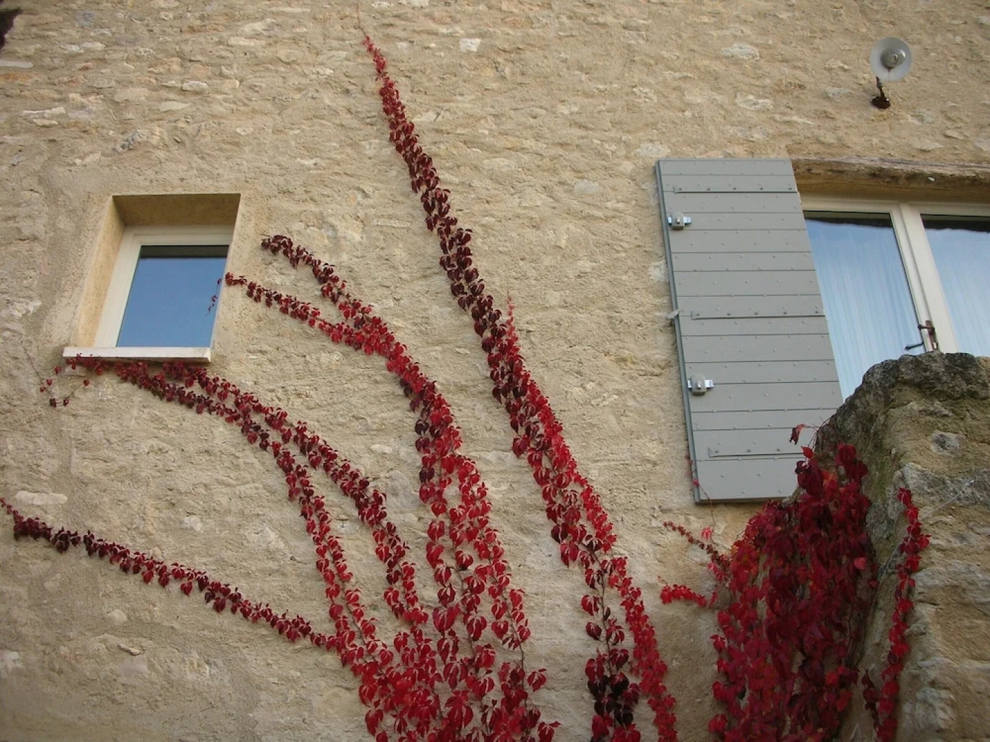 La Couleur des Vignes