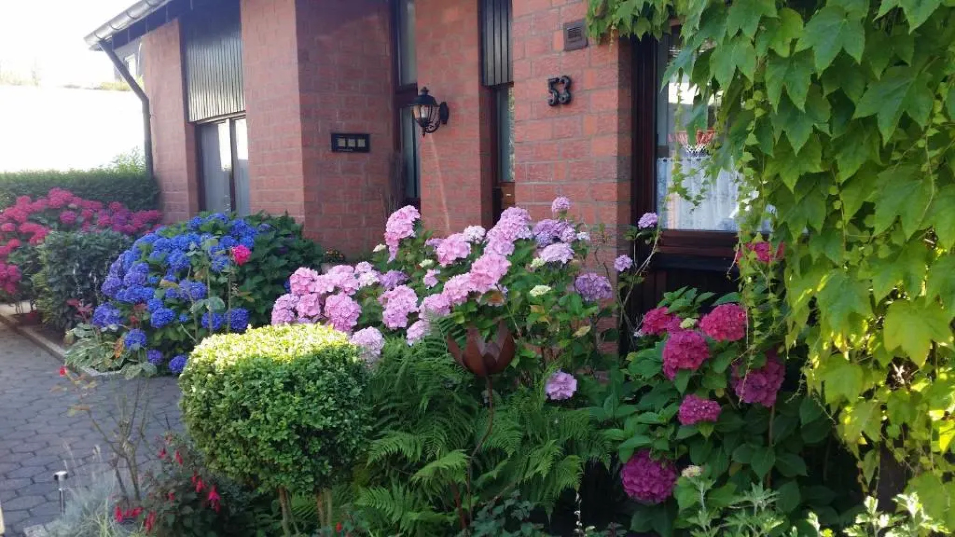 Gemütliches Apartment