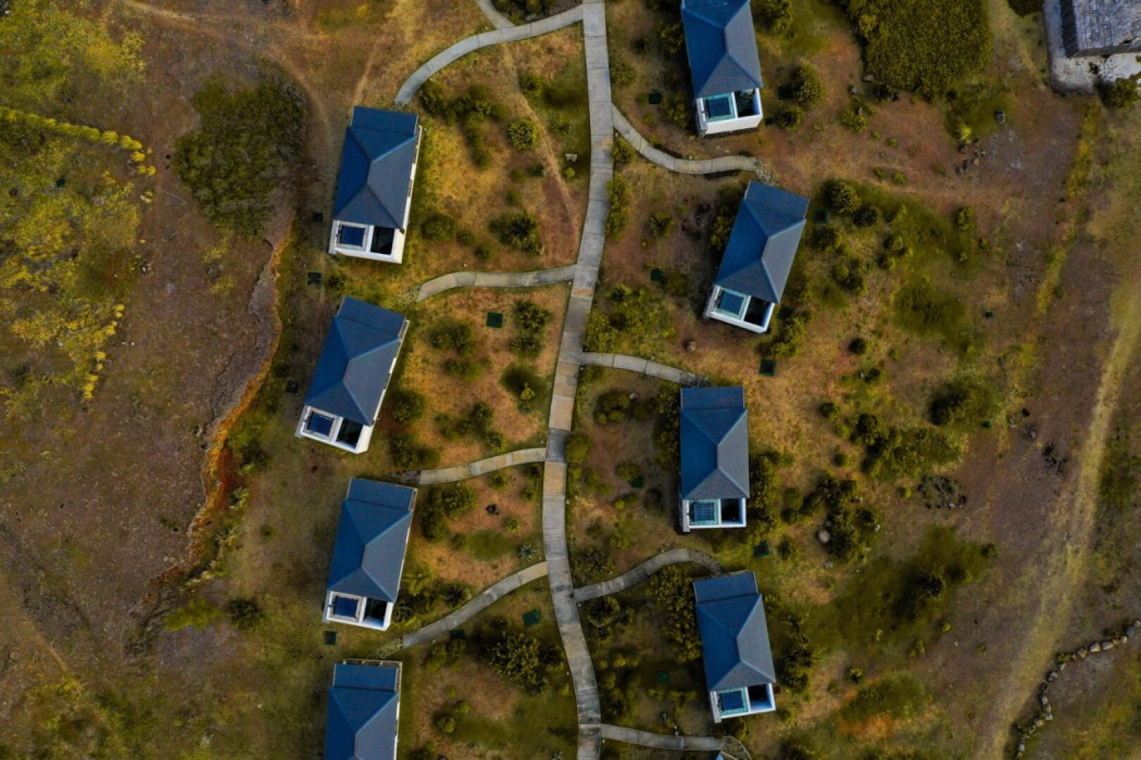 Constance Tekoma. Rodrigues