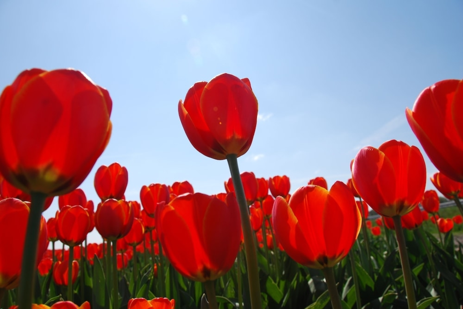 Van Der Valk Hotel Akersloot