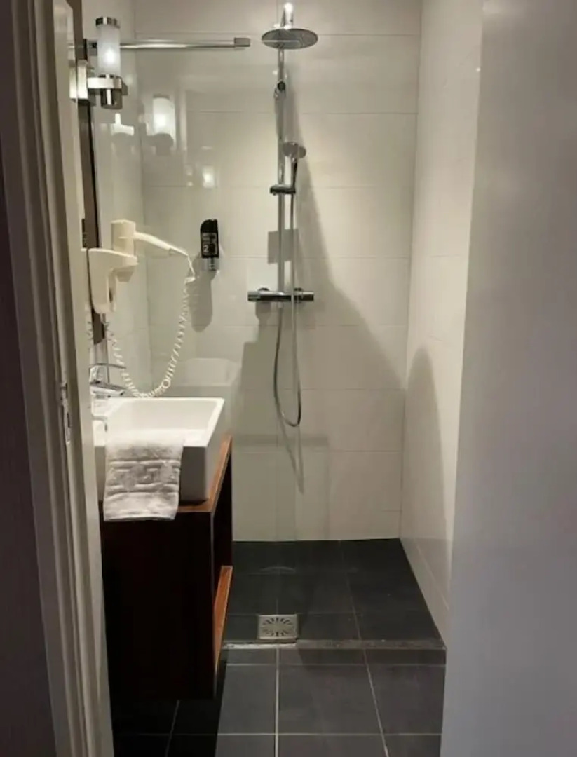 Hotel de Roode Leeuw