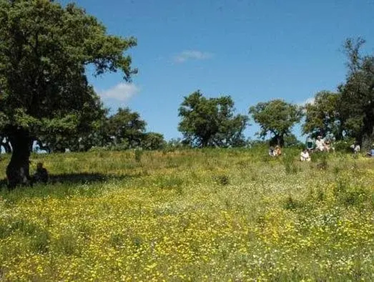 Hotel Rural la Posada de Alájar