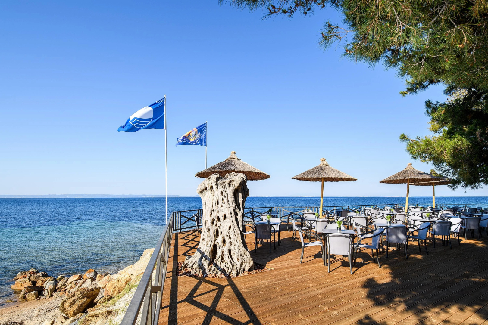 Blue Dolphin Resort Hotel