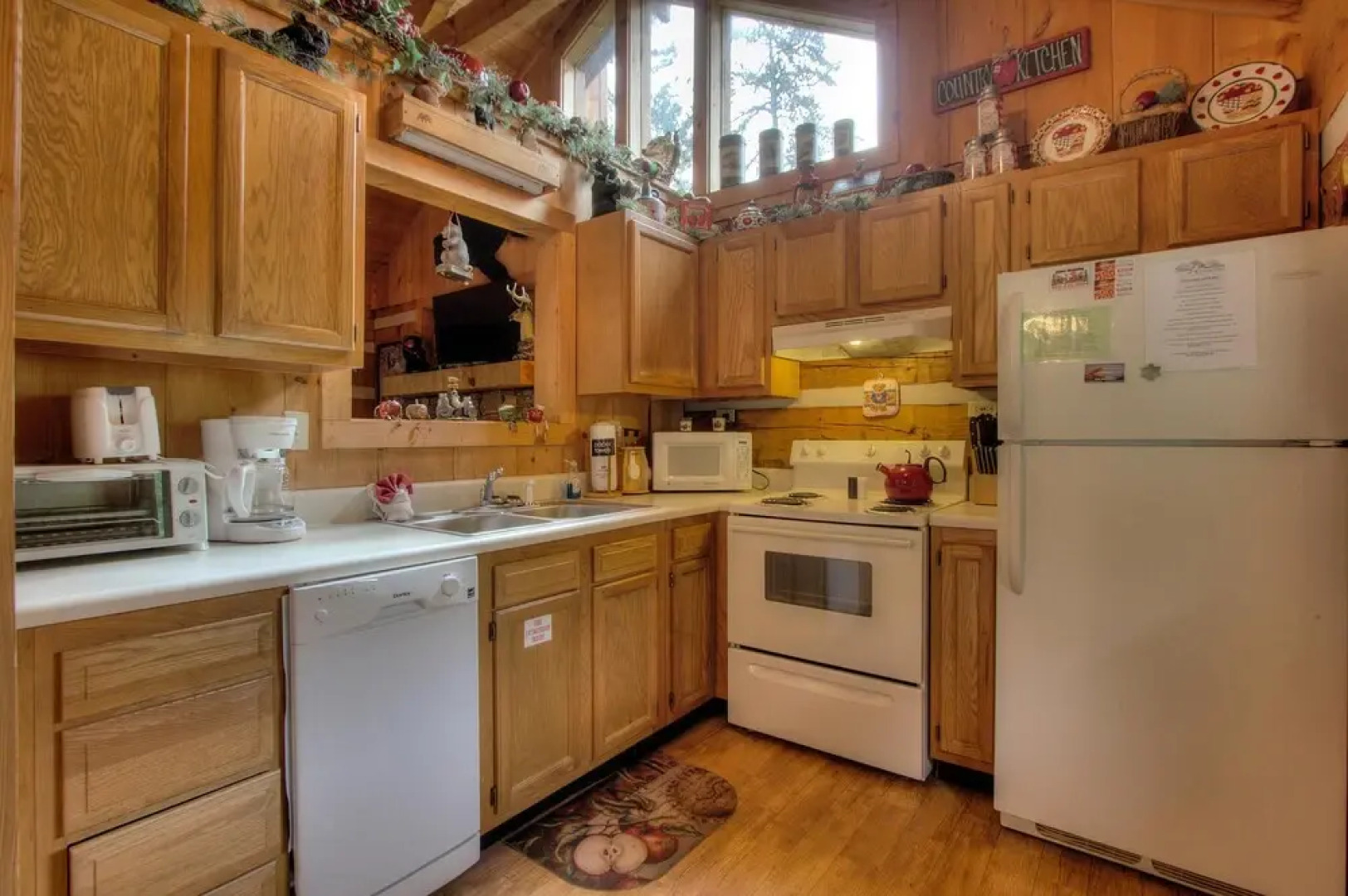 Apple Bear View #116