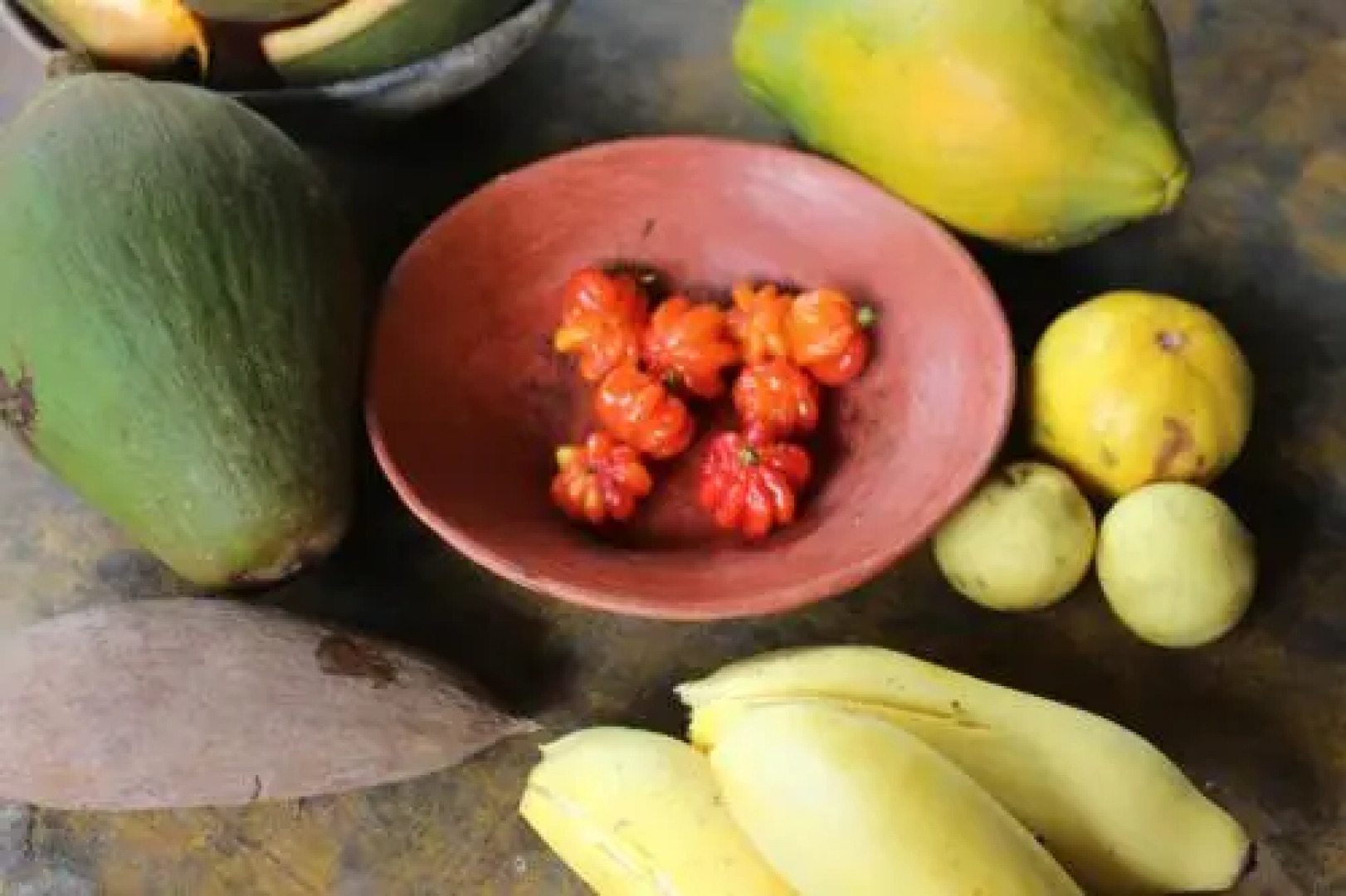 Sachahuasca Backpacker