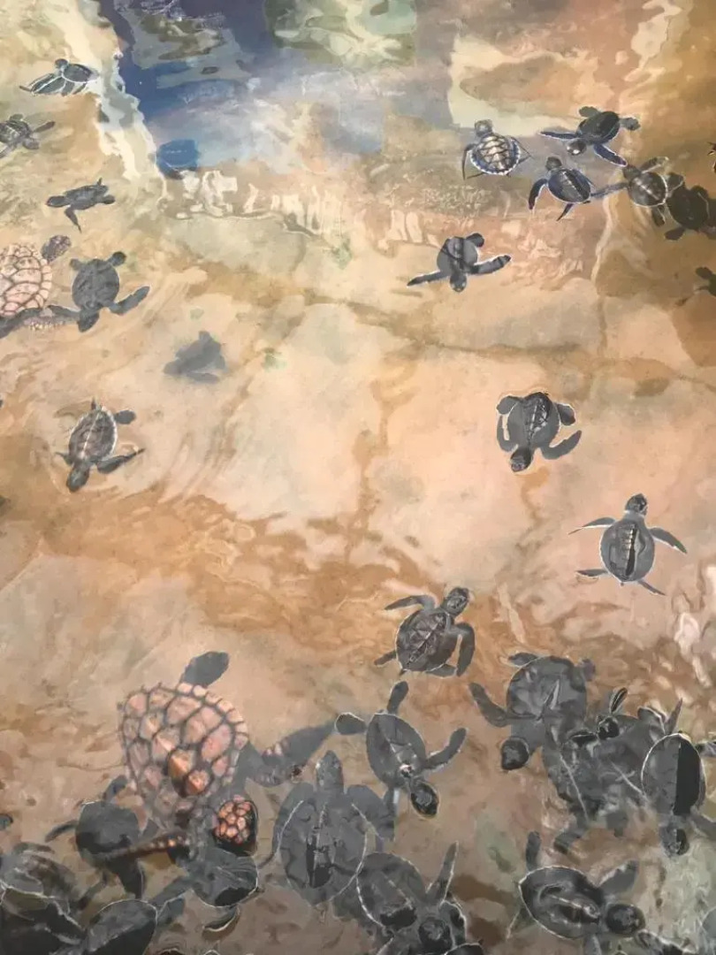 Shanthi Guest & beach villa