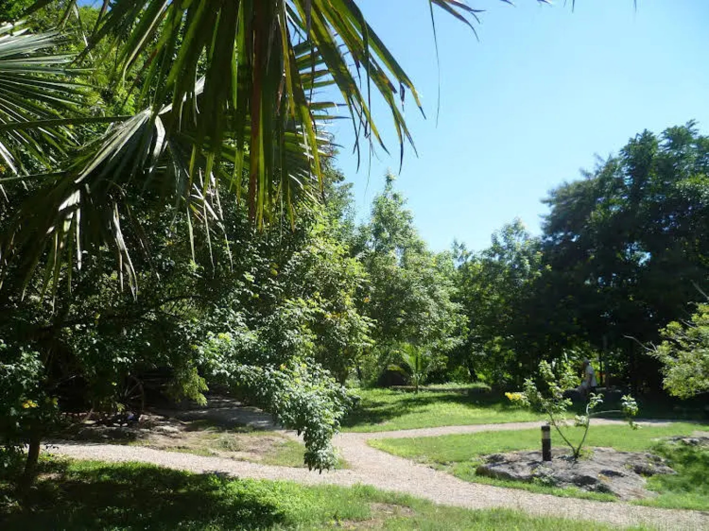 Hacienda Santo Domingo