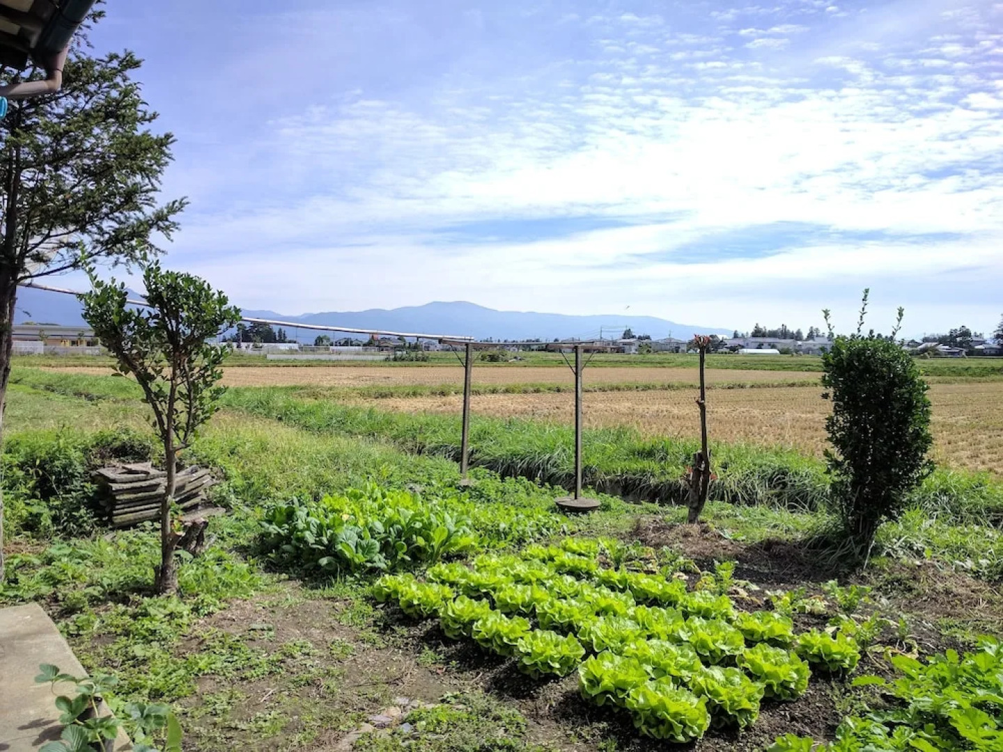 Tomo's hut in Japanese old style