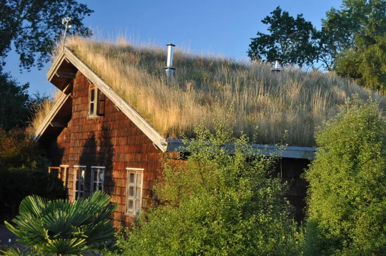 Hostal Zapato Amarillo